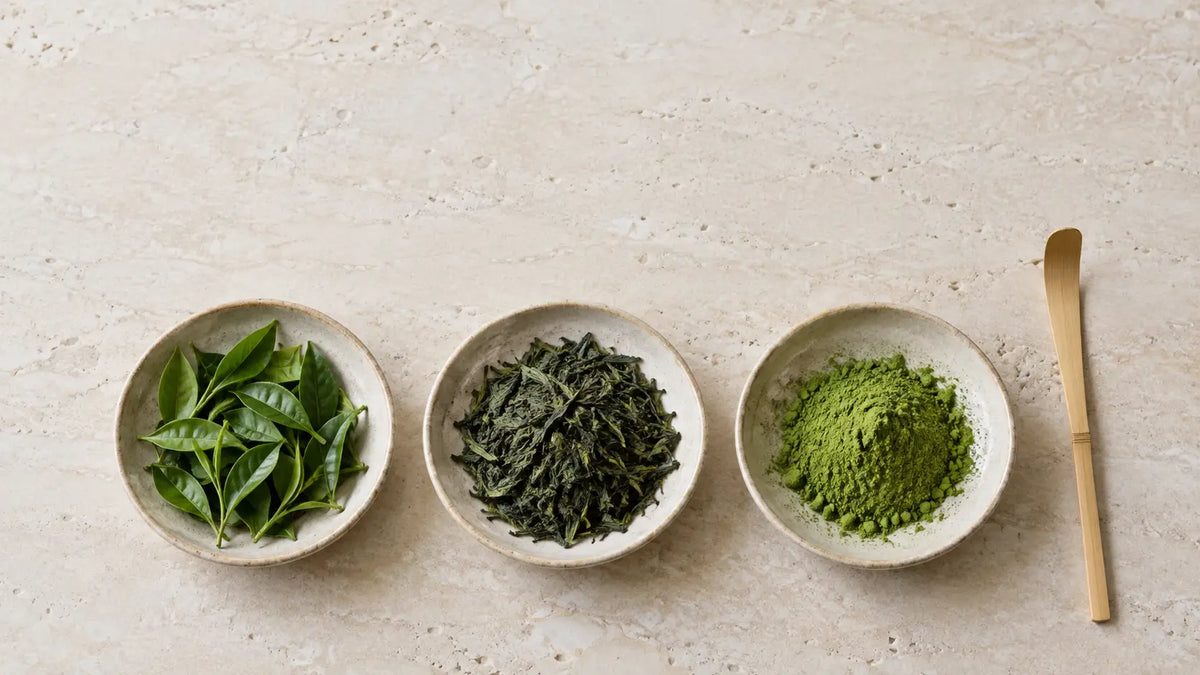 How Is Matcha Made? From Shaded Field to Fine Powder